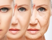 Anti Aging