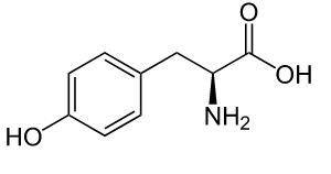 L-Tyrosine.