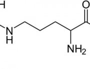 Arginine