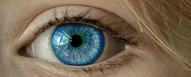 Eye