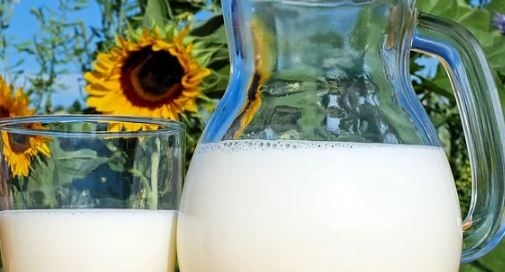 Milk To Grow Taller