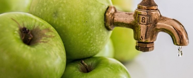 apple vinegar